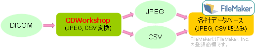 CDWorkshopでDICOM画像をJPEGに変換・CSV出力を行い、各社データベースに取り込ませることができます